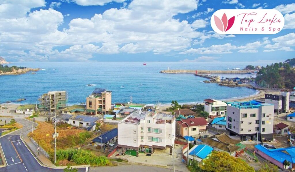 taplookbeauty-Samcheok