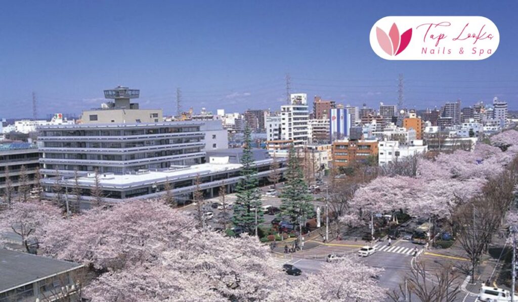 taplookbeauty-Sagamihara