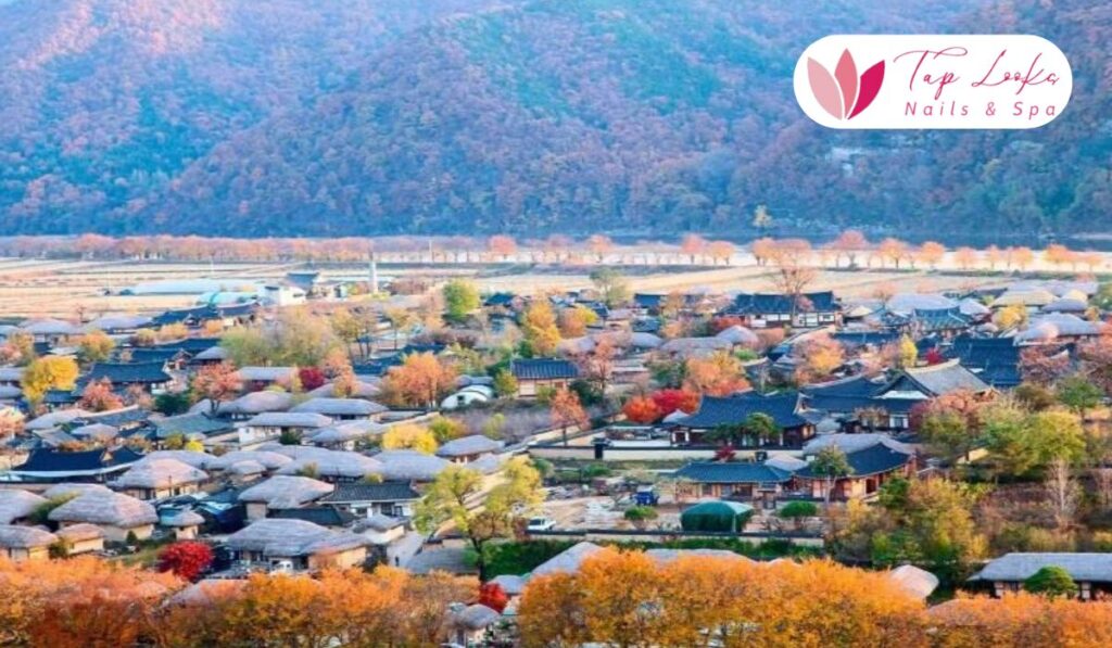 taplookbeauty-Andong