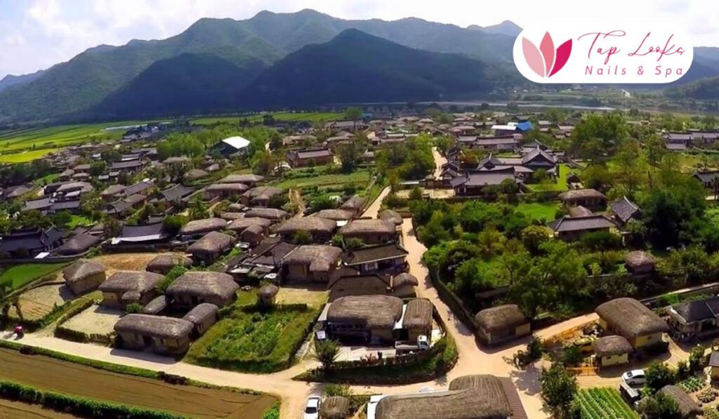 taplookbeauty-Gangneung